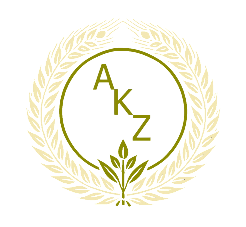 AKZ Vizyon Logo